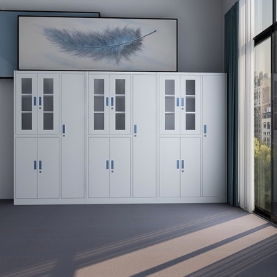 Glass Door Display Filing Cabinet With Newly Steel Clothes Cabinet